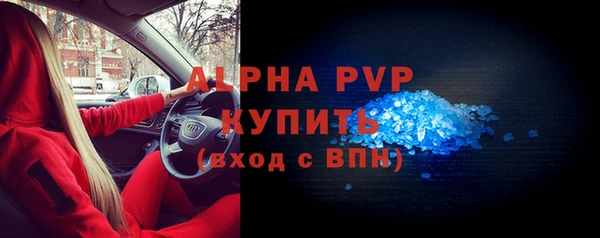 ПСИЛОЦИБИНОВЫЕ ГРИБЫ Тавда