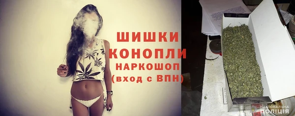 ПСИЛОЦИБИНОВЫЕ ГРИБЫ Тавда