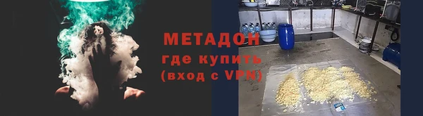 ПСИЛОЦИБИНОВЫЕ ГРИБЫ Тавда