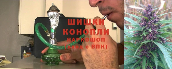 ПСИЛОЦИБИНОВЫЕ ГРИБЫ Тавда