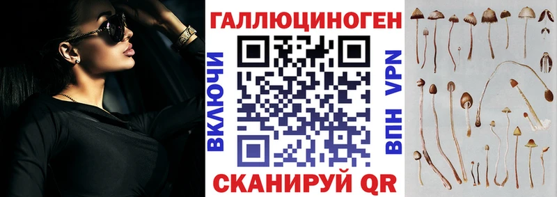 Псилоцибиновые грибы Psilocybine cubensis  Крым 